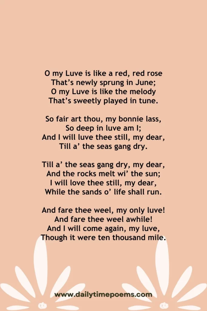 A Red, Red Rose - Poetry about Needing