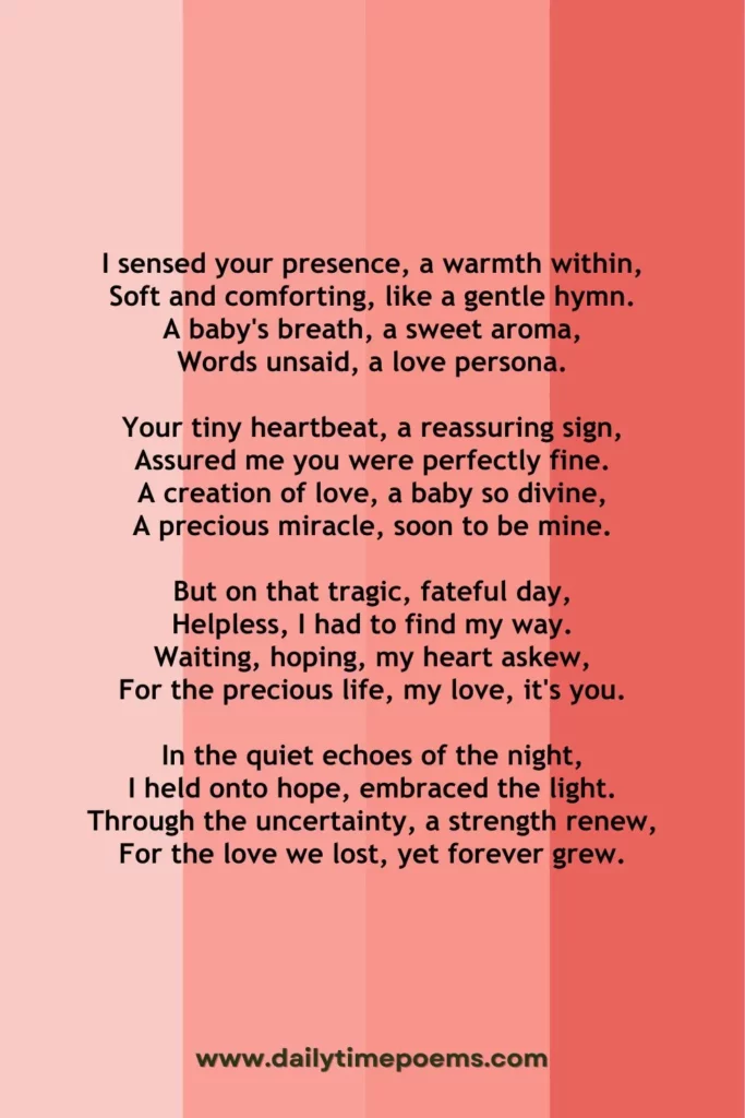 Don't Forget I Was Here - Abortion Poetry Collection